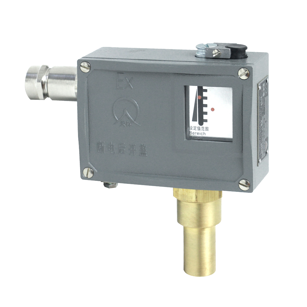505/7D防爆壓力開(kāi)關(guān) 505/7D防爆壓力開(kāi)關(guān)